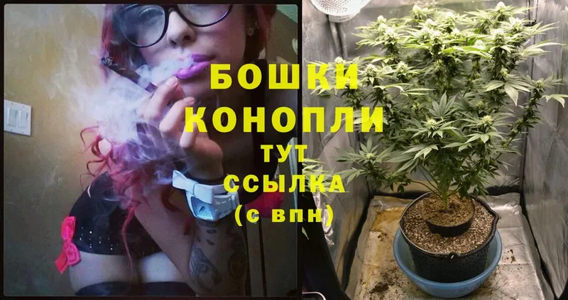 Канабис White Widow  OMG сайт  Сафоново 